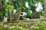 Fototapeta  - CCTV w krzakach w lesie