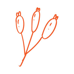 Poster - Cherry in minimalist boho and vintage hand drawn illustration for design element.	