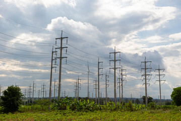 Wall Mural - A group of natural energy electric poles produced from wind turbines. Ideas to reduce global warming.