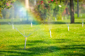 Wall Mural - Sprinkler for automatic lawn watering. Lawn cultivation and care, garden irrigation devices. Rainbow over the garden on a sunny day.