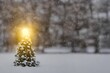 Magical shining star on a small Christmas tree in the snowy field - great for a wallpaper