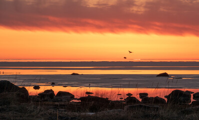 Sticker - Beautiful sunset at seaside.