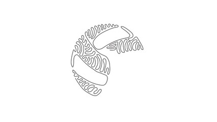 Poster - Animated self drawing of continuous line draw leather volleyball icon or logo. Volleyball ball sports activity play competition tournament. Swirl curl style concept. Full length single line animation