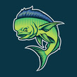 Colour vector illustration of a mahi mahi fish