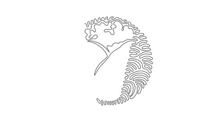 Poster - Self drawing animation of single line draw shawarma. Turkish fast food with meat and vegetables. Meal on grill of shawarma. Swirl curl circle style. Continuous line draw. Full length animated