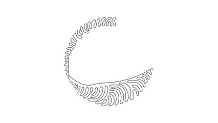 Poster - Animated self drawing of single continuous line draw tacos Mexican fast food with tortilla, meat, lettuce, cheese, tomato, sauce. Swirl curl circle background style. Full length one line animation