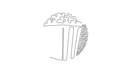 Poster - Animated self drawing of single continuous line draw box container with delicious popcorn. Takeaway fast food. Junk food menu. Swirl curl circle background style. Full length one line animation