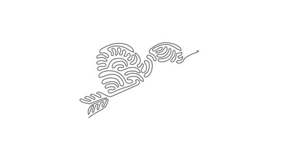 Poster - Self drawing animation of single one line draw heart with arrow icon doodle style. Romantic decoration logo image. Swirl curl style. Continuous line draw. Full length animated illustration