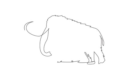 Wall Mural - Self drawing animation of single line draw mammoth business logo. Prehistoric animal from ice age. Strong animal mascot for zoo, tusks, elephant species. Continuous line draw. Full length animated