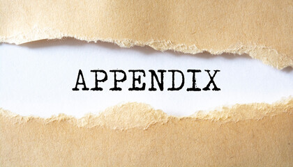 Appendix word written under torn paper.