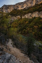 Wall Mural - Vertical shot of the hiking area Sentier Blanc-Martel with colorful trees in autumn