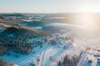 Drone view of a snow-covered field with trees and the sun shining on the right side