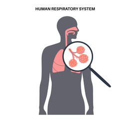 Poster - human respiratory system