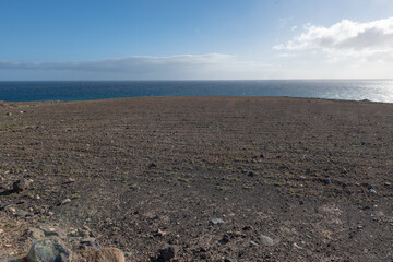 Canvas Print - landscape in canarias