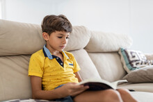 6 Year Old Little Boy Reads A Book On The Sofa At Home