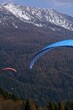 A shot of Two men in paragliders flying in the mountains Winter  forest in Trentino-Alto Adige Italy