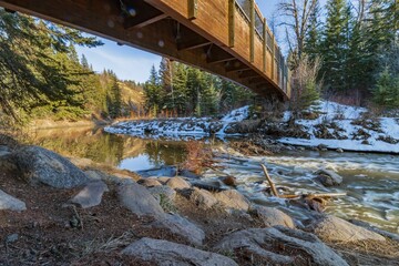 Poster - Scenic view of a river under a bridge in a park during a warm winter day