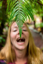 A Woman Prepares To Put A Raindrop On The End Of A Fern Leaf Into Her Mouth While Hiking In A Forest Near Volcano National Park In A Light Rain On The Big Island Of Hawaii.