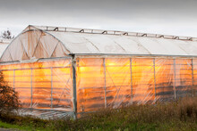 Greenhouses heated by geothermal heat near Geysir in Iceland