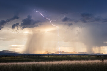 Wall Mural - stormy sky with lightning, dramatic clouds and golden sunlight