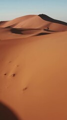 Wall Mural - aerial view of big sand dunes in sahara desert, africa. vertical video