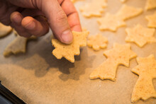 Close-up Of A Man Placing Fir Tree Shaped Cookies On Baking Sheet In A Baking Tray, Munich, Bavaria, Germany