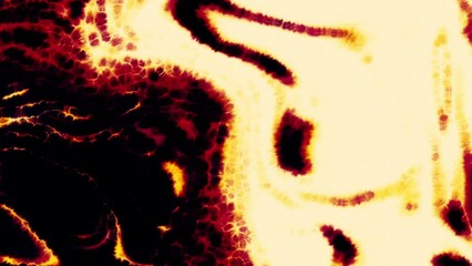 Poster - Abstract animation of moving warm energy plasmas. Motion. Curved flows of thermal plasmas. Thermal animation bends of energy