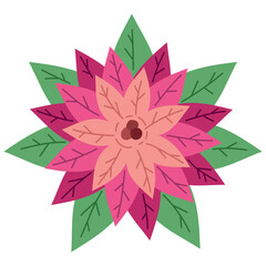 Poster - christmas poinsettia flower