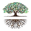 Tree and roots logo