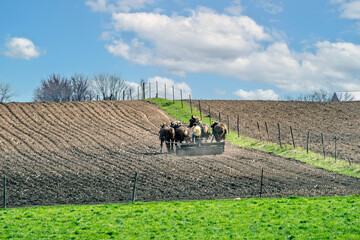 Sticker - Amish man tills the soil in springtime.