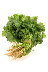 Wall Mural - Parsley on White Background