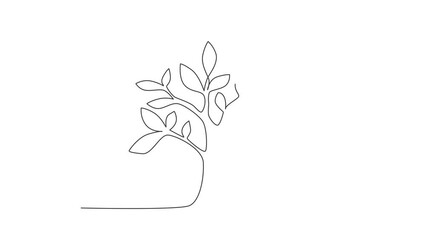 Poster - Animated self drawing of continuous line draw growing sprout. Plant leaves seed grow soil seedling eco natural farm concept. Early seedlings grown from seeds. Ecology. Full length one line animation