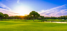 Panorama Of Dawn Over The Grass Of A Golf Course With A Lone Tree In The Foreground Belek Turkey