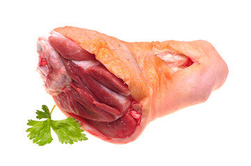 Poster - raw pork (leg) or elbow isolated on white background