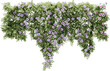 Flower vines cutout