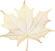Gold maple leaf illustration