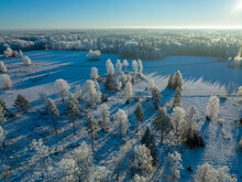 Aerial VIew Over Winter Forest Horizon, Sweden