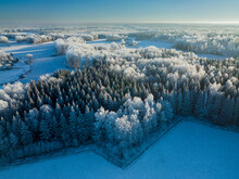 Aerial VIew From Above Forest Section In Stockholm, Sweden