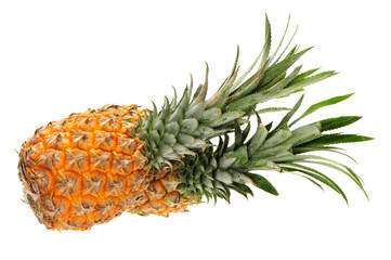 Wall Mural - Pineapple on a white background