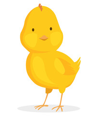 Chicken hatched from the egg. Cartoon baby chick. Small baby bird. Newborn little cute chick. Funny domestic animal. Funny and educational illustration for kids