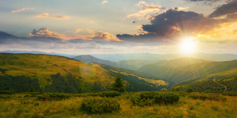 carpathian mountain range in summer at sunset. landscape with forested hills and grassy meadows roll