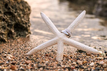 Starfish Beach Wedding Rings