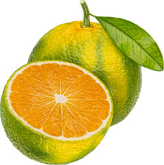 Wall Mural - Green tangerine isolated