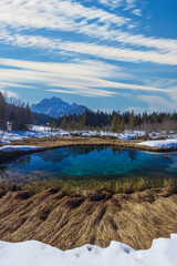 Canvas Print - winter landscape in Zelenci, Slovenia