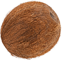 one whole coconut isolated