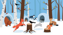 Forest Animals And Birds In The Winter Forest