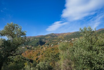 Sticker - Beautiful autumn landscape with mountains. Yellow trees on the green hills of the mountain