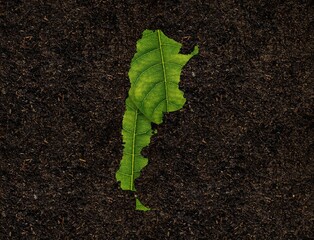 Poster - Argentina map made of green leaves on soil background, ecology concept