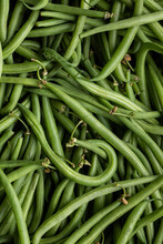 Fresh Green Beans As Background