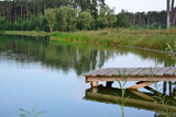 Fototapeta Pomosty - wooden bridge on the pond with reflection of pine forest, close-up